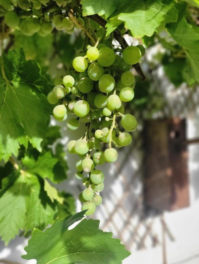 Les Gites De L'Herperie Blicourt Ngoại thất bức ảnh